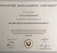 buy Singapore university diploma