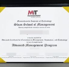 How to Get Alfred P. Sloan School of Management Diploma? where to buy Alfred P. Sloan School of Management online? Purchase diplomas in America.