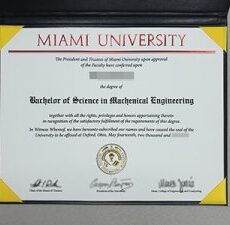 Buy Miami University credentials on-line. Get Miami University degree certificates on-line. Purchase Associate in Nursingyankee University credentials.