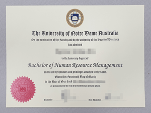 Buy UNDA degree certificate